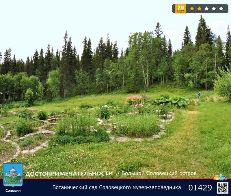 Ботанический сад Соловецкого музея-заповедника | Соловки