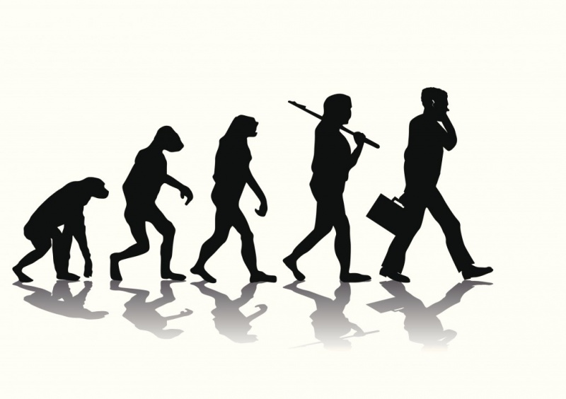 Неудобная правда о эволюции человечества